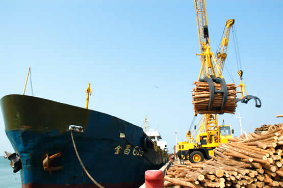 1663137240630593.jpg MetInfo enterprise content manager system | MetInfo CMS